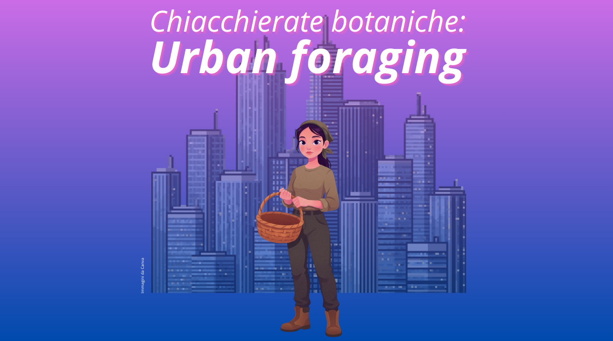 La Biblioteca dei Semi presenta: chiacchierate botaniche - urban foraging