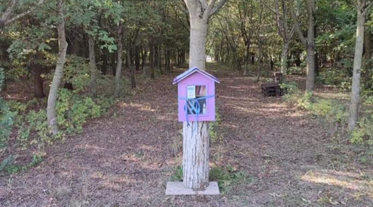 Abitare la meraviglia: alla ricerca della poesia che vive dentro ognuno di noi 