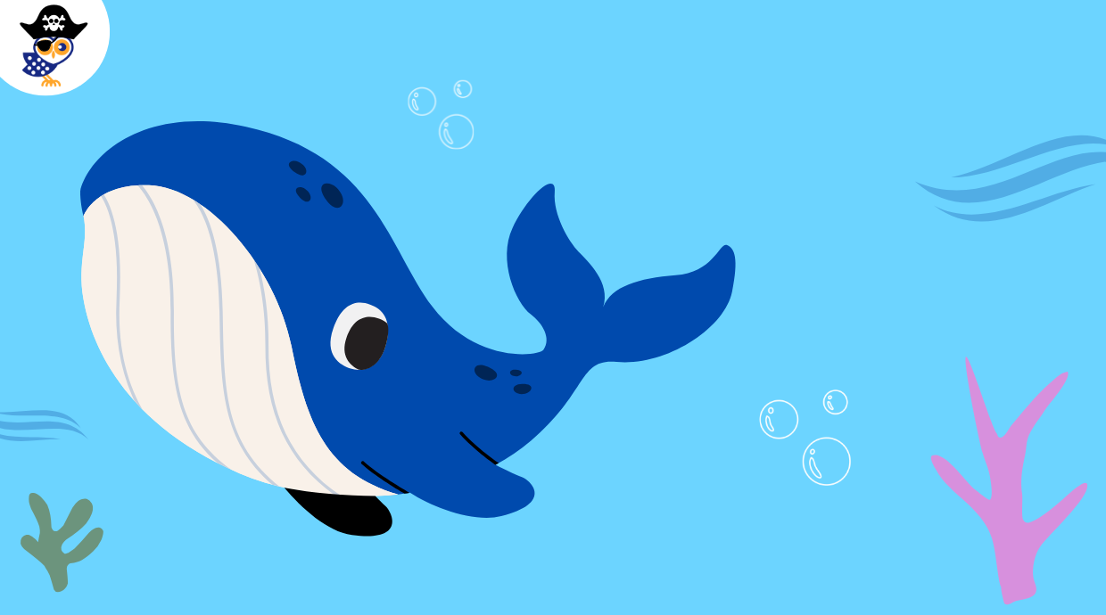 Nella pancia della balena: chi ha paura delle storie di mare? 