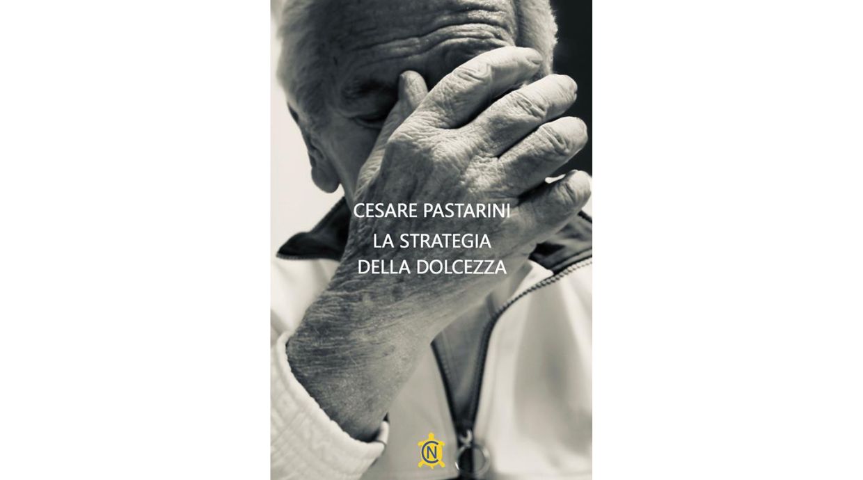 Cesare Pastarini "La strategia della dolcezza"