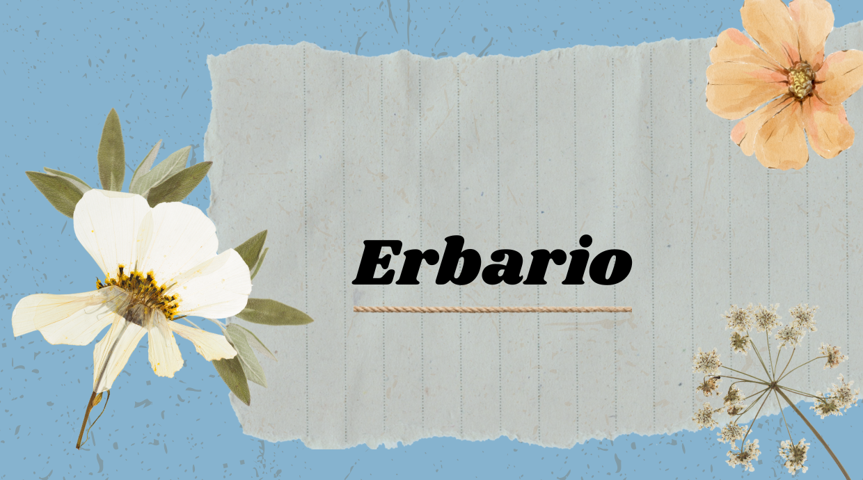 Erbario