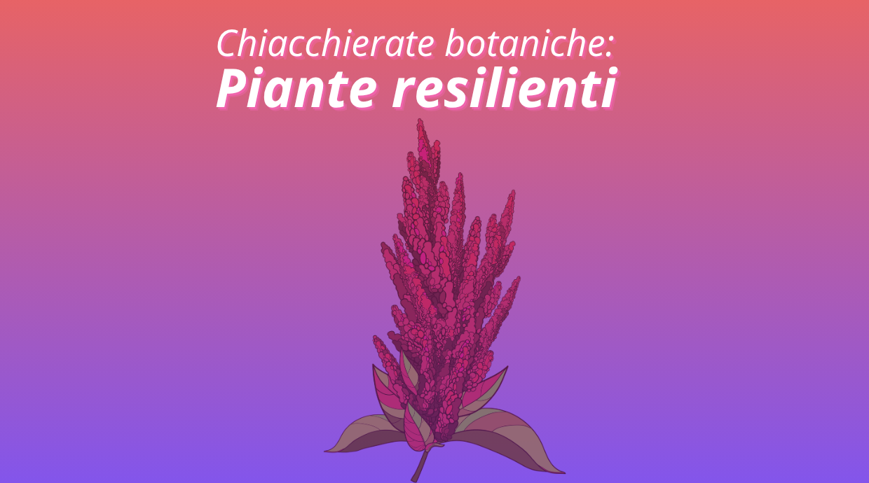 La Biblioteca dei Semi presenta: chiacchierate botaniche - piante resilienti