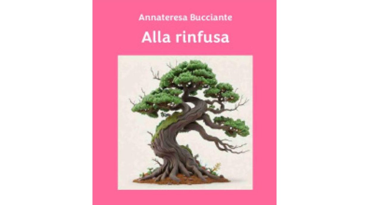 Presentazione libro "Alla rinfusa" di Annateresa Bucciante