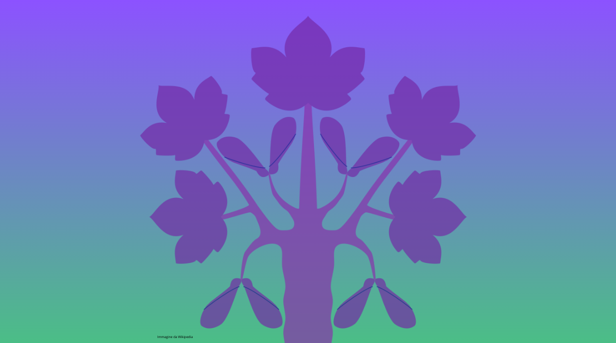 La Biblioteca dei Semi presenta: chiacchierate botaniche - le piante nell'araldica